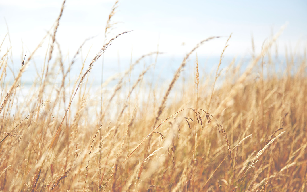 Environnement et santé